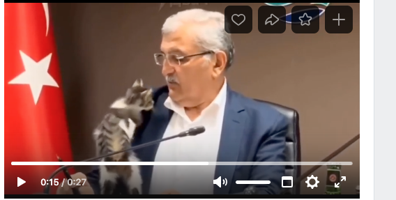 скрин кадра автора 