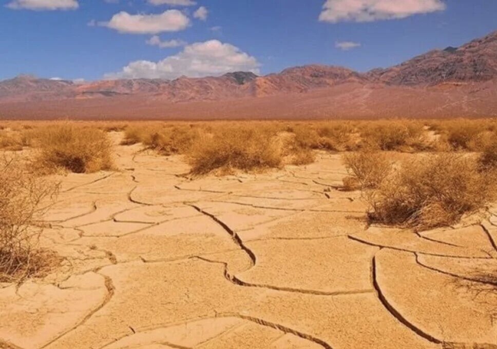 Фото взято из открытых источников