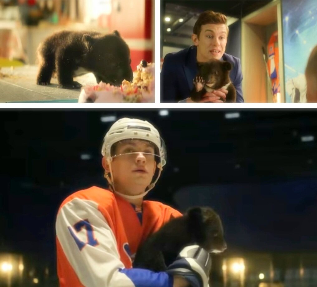 Коллаж из фото из свободных источников