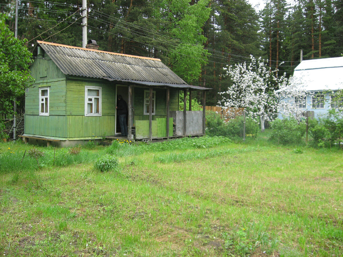 Старый дачный домик родителей мужа в СНТ в 80 км от Москвы