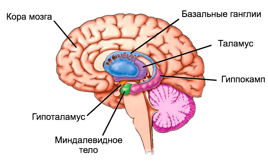 Психологическая защита: как это работает