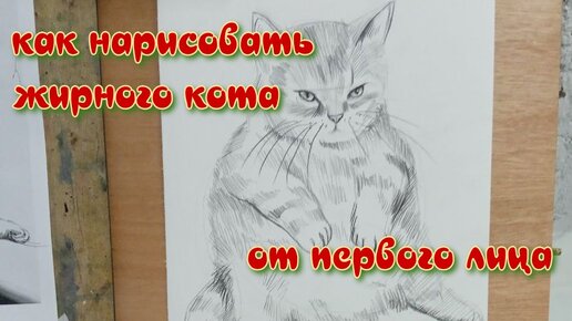 Как нарисовать жирного кота от первого лица