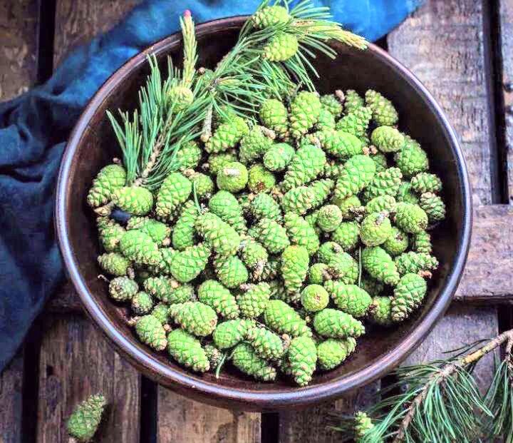 Фото с интернета.