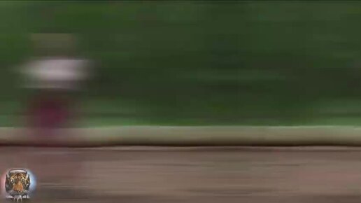 Звуковая дорожка. Танцевальный баттл джаст дэнс. Гифки танцы. Эквалайзер gif. Цветомузыка эквалайзер.