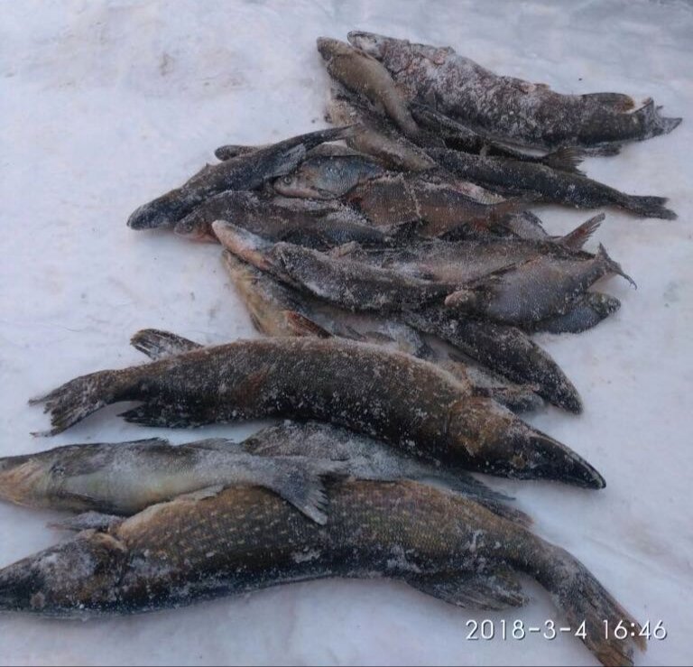 Вот это улов!