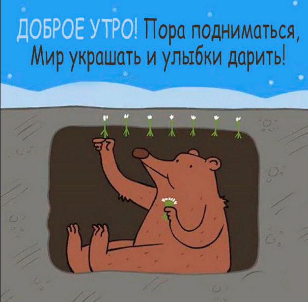 �������� ������ ��������