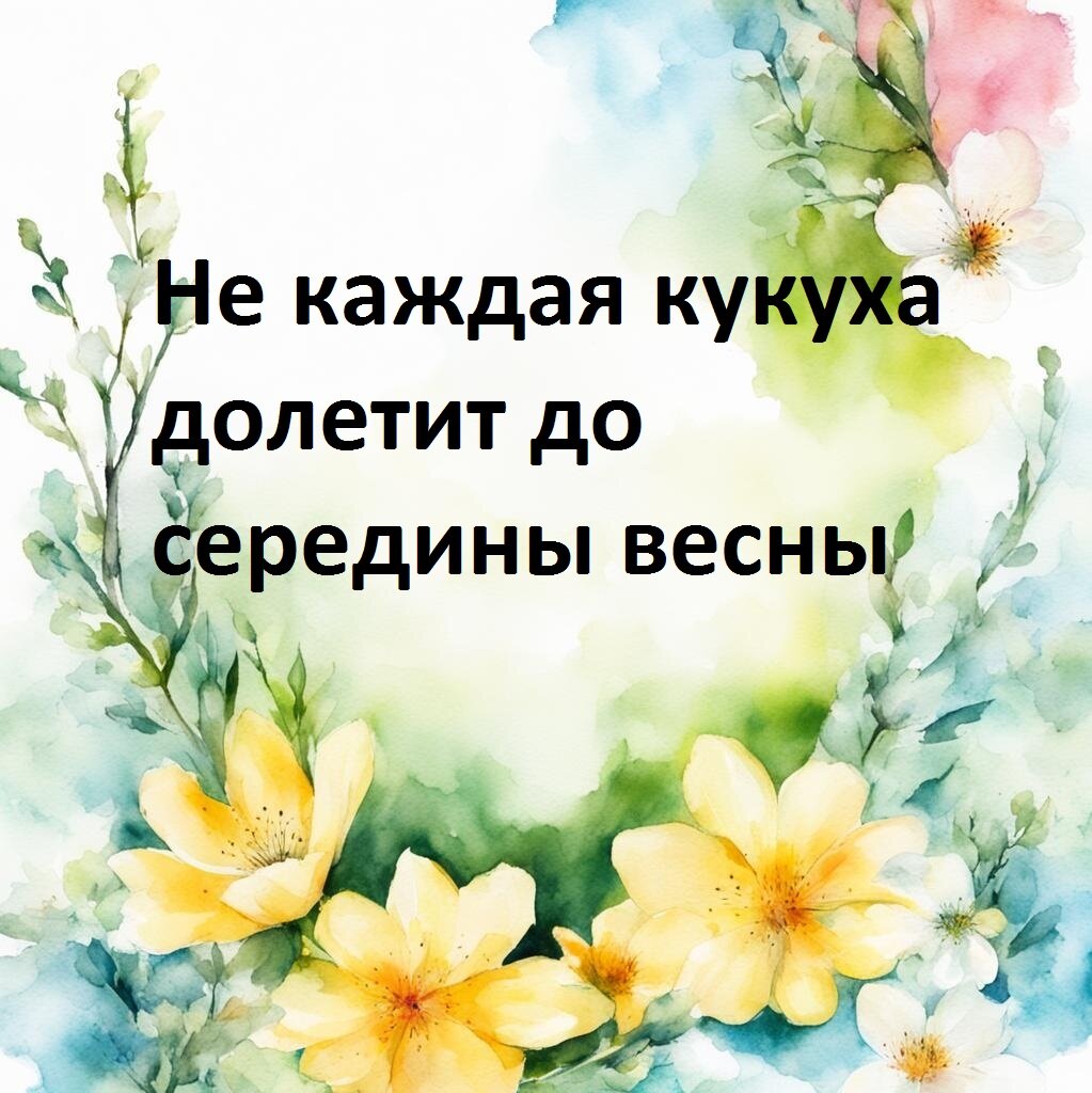 ������� � Point+���������� 3.0