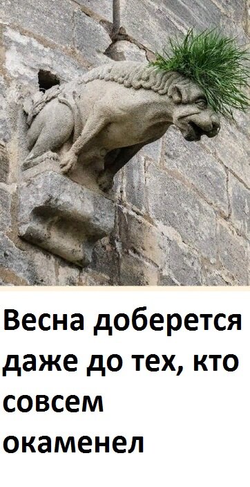 �������� ������ �������� + ���������