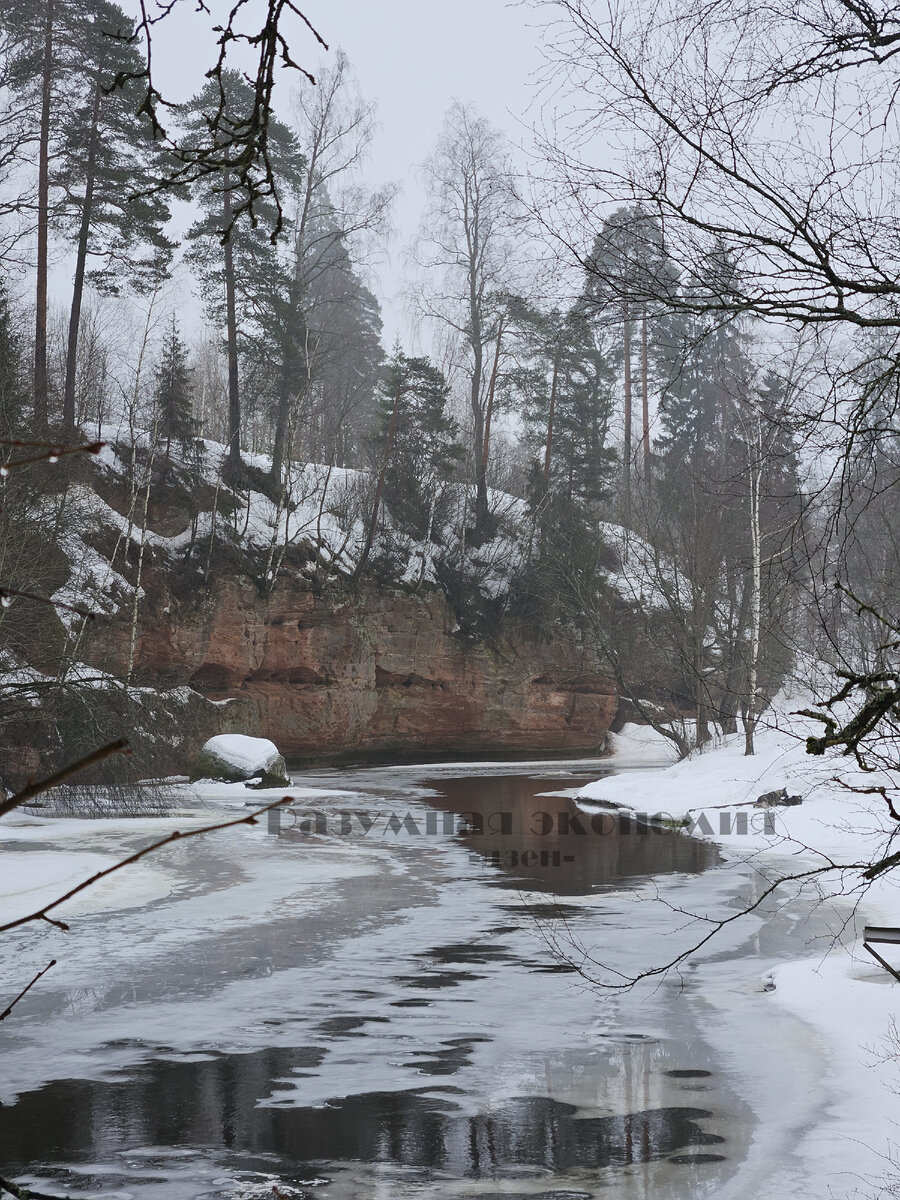 Живём на МРОТх2 с мужем. День 18. Живописные берега реки Оредеж. Дача