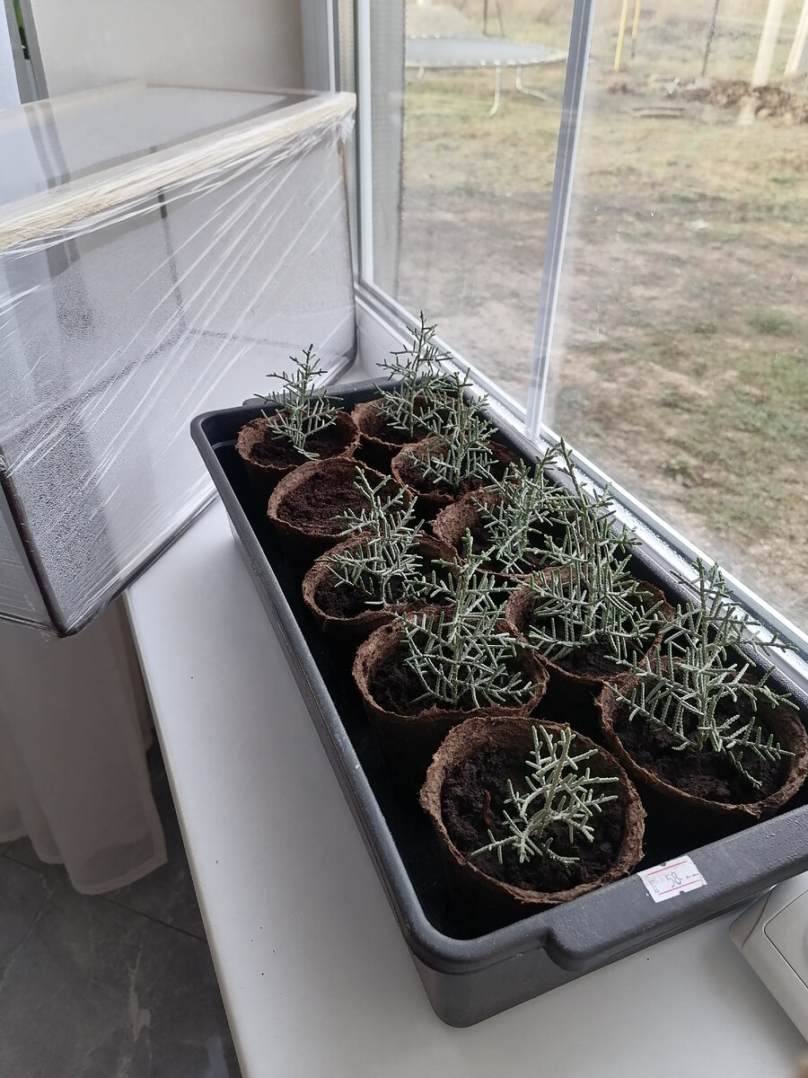 Проветривание