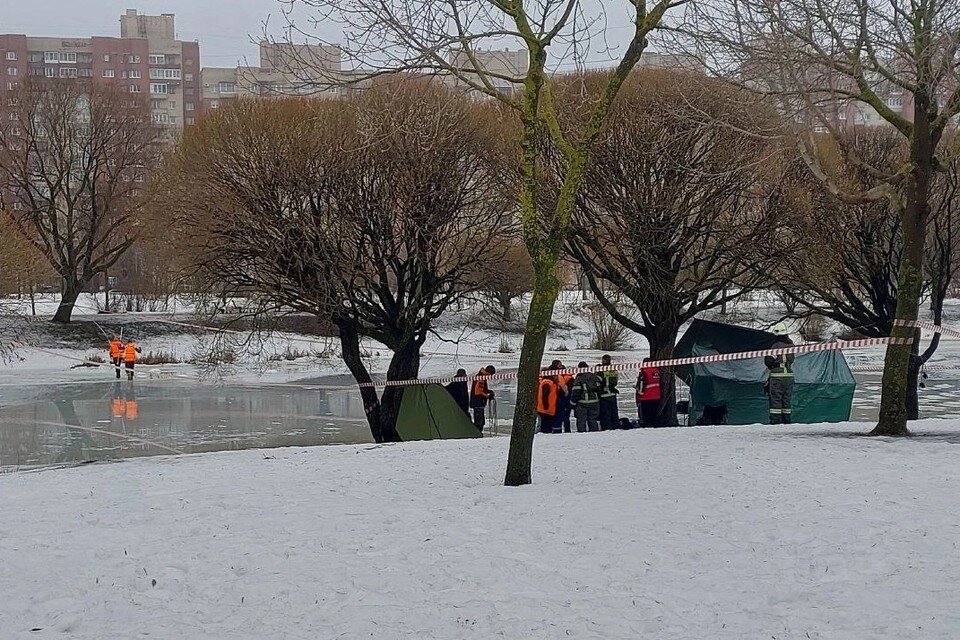 Офис теле2 в ростове на дону. Теле2 санкт-петербург офис. Сайт теле спб. Теле2 личный кабинет вход. Красивые номера теле2.