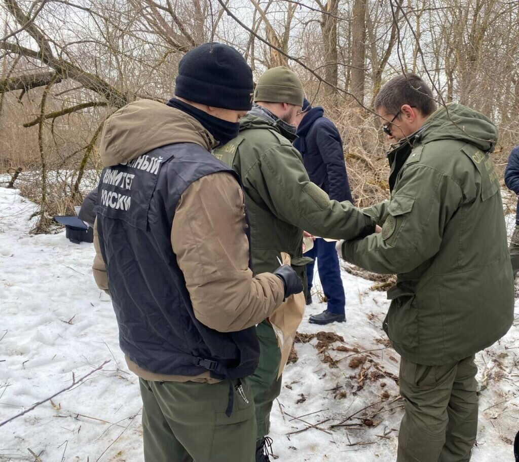    Труп 11-летней девочки, пропавшей 1 января, найден в Псковской области7info.ru