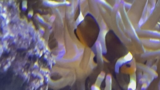 Гейзер флай невада сша. Каньон волны аризона. Самое необычное видео в мире. Красивые места на земле. Гора тяньмэнь серпантин.