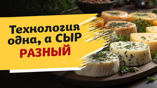 Рецепт сыра один, а вкус всегда разный: как так? Эксперименты в сыроделии