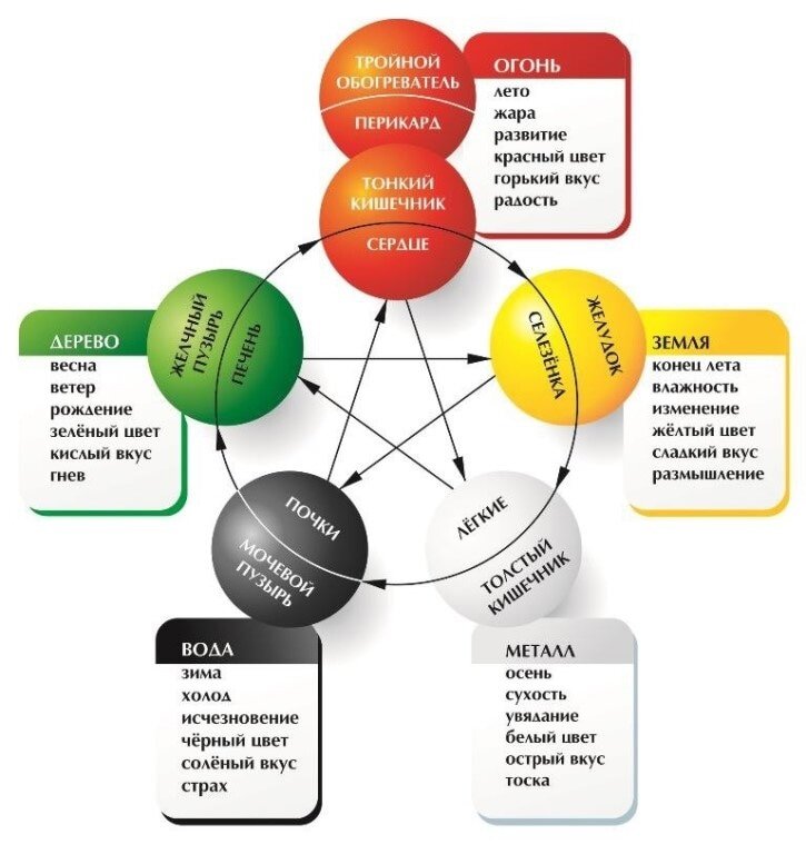 Круг У-Син, согласно которому движутся энергии в теле и в природе.  