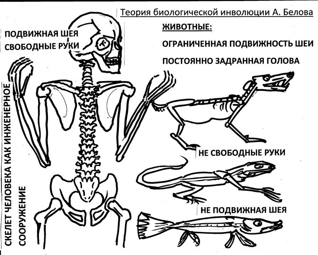 Девушка с задранной ногой за рулем автобуса удивила красноярцев (видео)