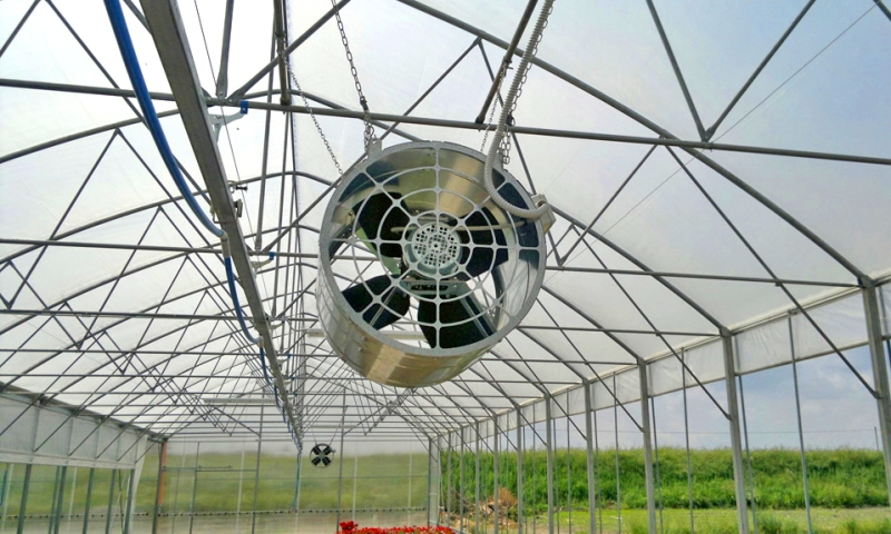 Фотография взята из источника yandex.ru