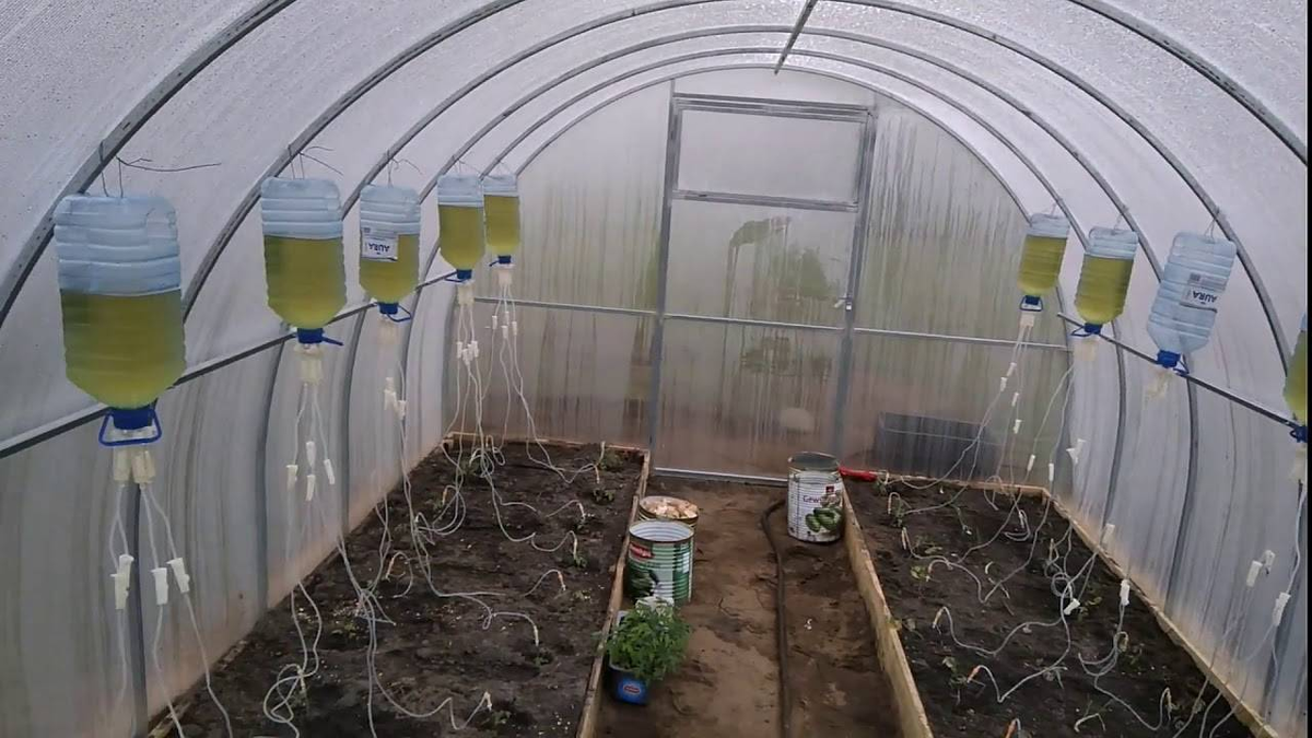 Фотография взята из источника yandex.ru