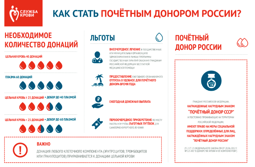 Как стать донором крови и сколько за это заплатят. Какие льготы есть у "Почетных  доноров" | Я вправе | Дзен