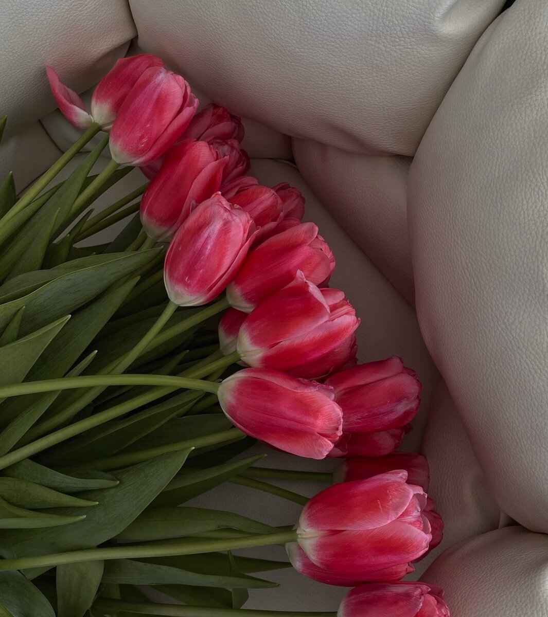 приходит в покой. душевное спокойствие. цитаты про тишину и спокойствие. приходит в покой. секреты успеха великих людей цитаты.