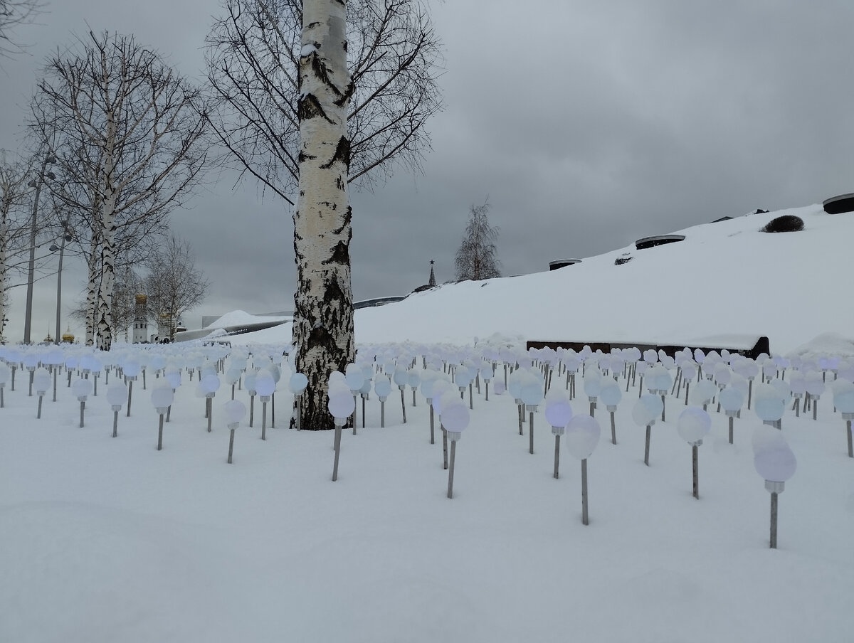 В поле экспериментов.