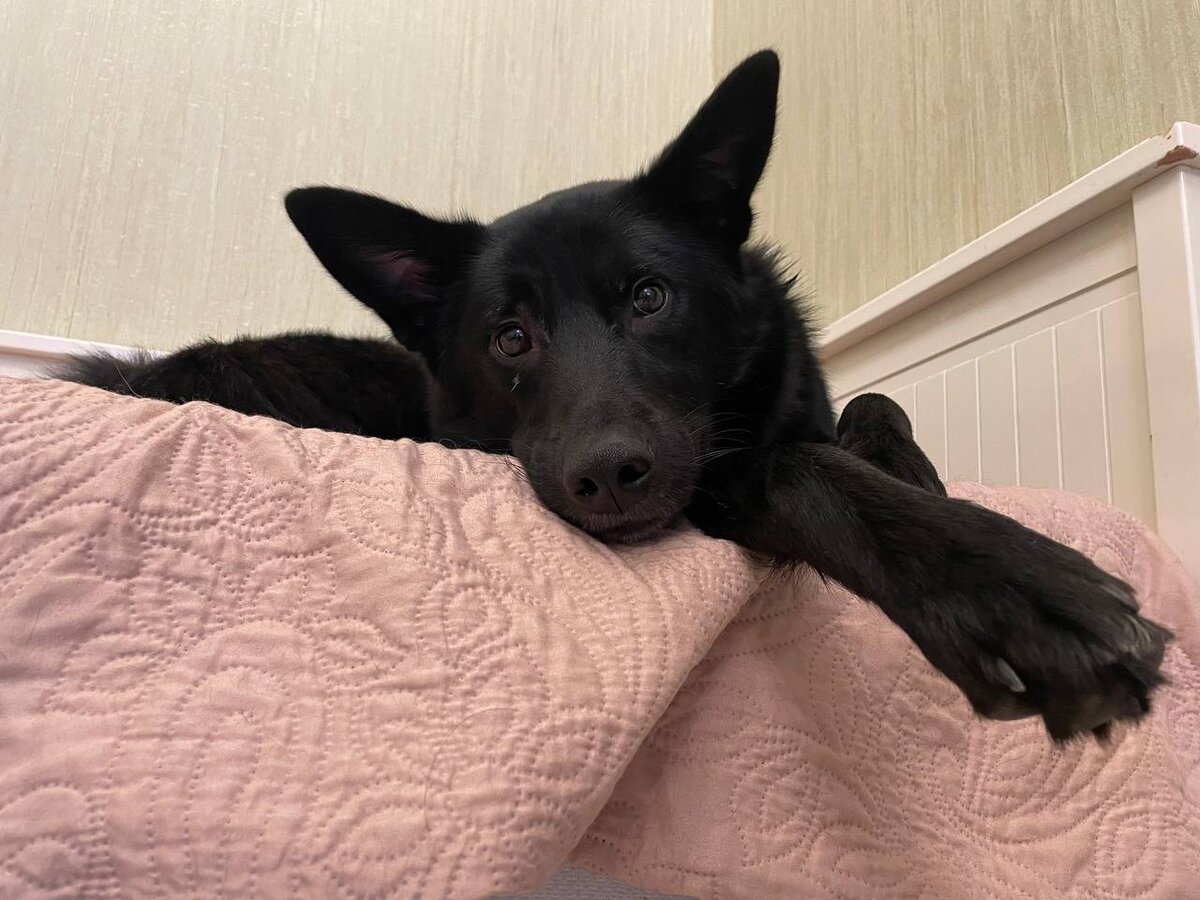 Каким ещё взглядом смотреть, чтобы забрали?;)