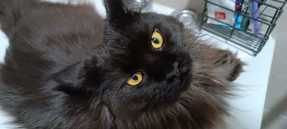 Неубеждательная Бозя