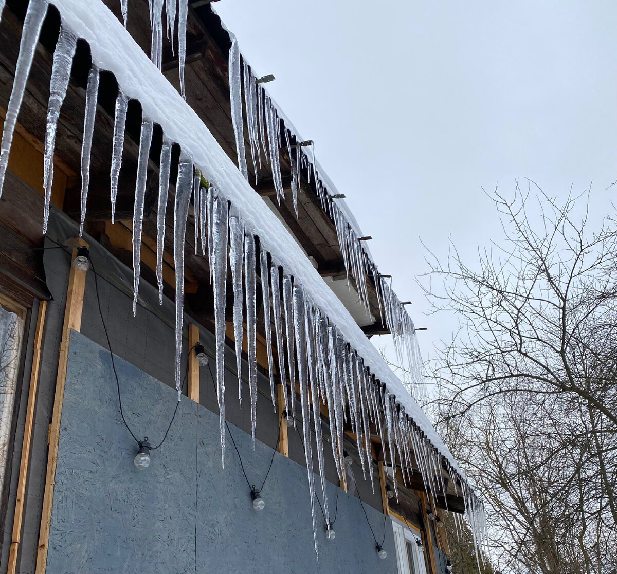 Загородная жизнь. Фото автора 