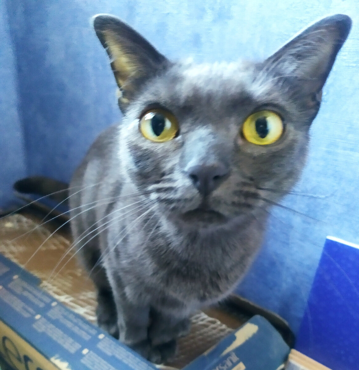 Спустя 2 года. Фото мое