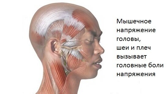 Головная боль напряжения - это наиболее часто встречающаяся форма первичной головной боли. Симптомы такой боли могут продолжаться от нескольких минут до нескольких дней.-2