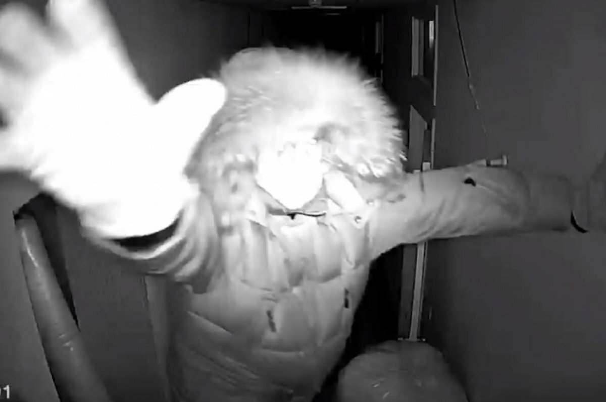    Омский грабитель отправится в тюрьму повышать квалификацию швеи