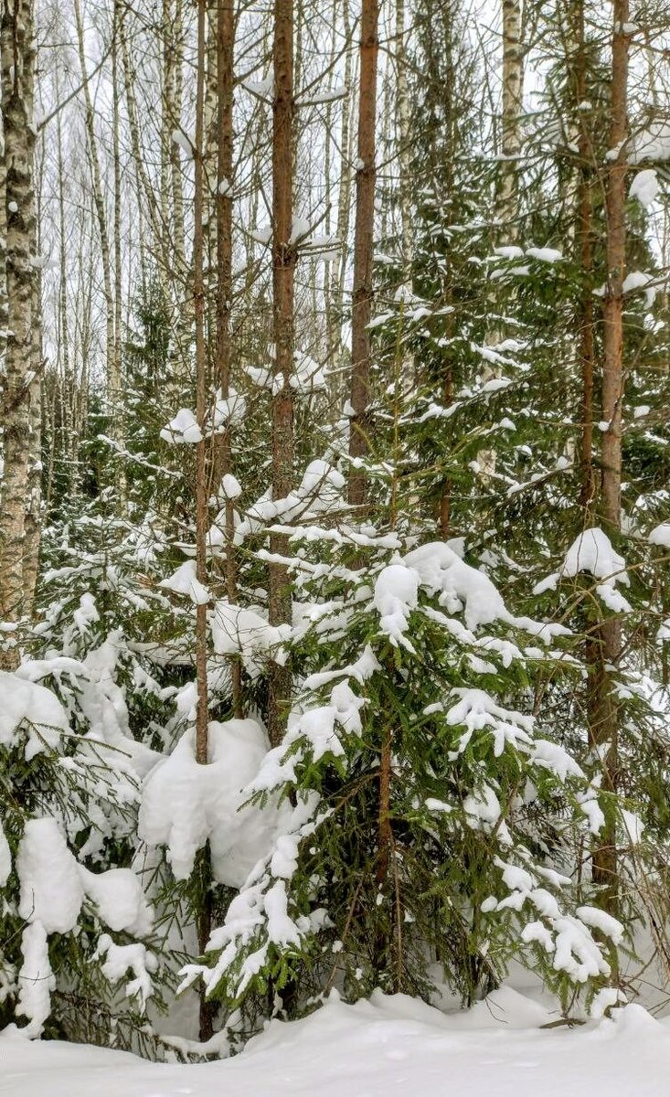 Мои друзья:стихи. Пусть сегодня всё будет просто. Пусть каждый будет дорог. Счастливой дороги. У каждого из нас своя дорога стих.