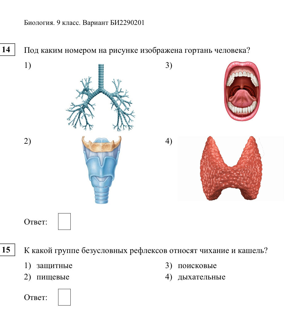 упражнение 85 7 класс. яркими звездочками земляники. русский язык 7 класс ладыженская упражнение 85. русский язык 7 класс автор баранов. упражнение 85 7 класс.