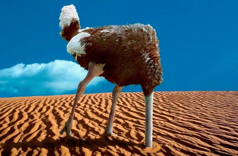 яндекс картинки