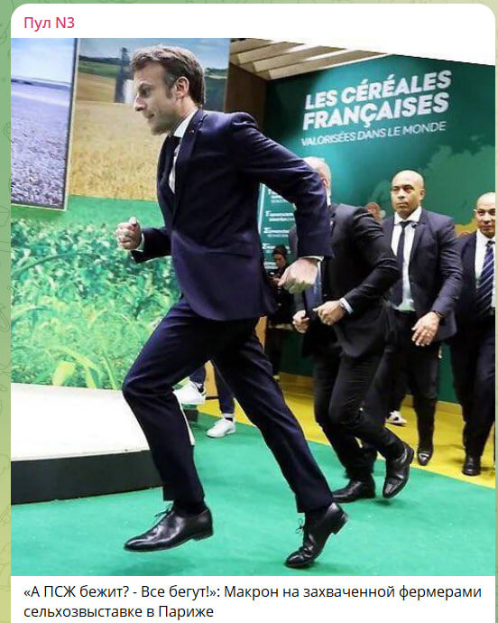    Скриншот//t.me/dimsmirnov175