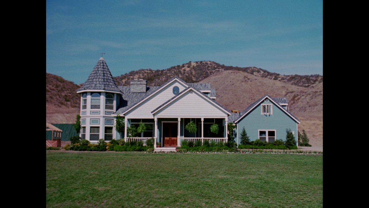 Кадр из фильма "Заживо погребённый" (1990)