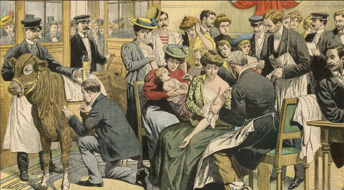 Вакцинация. Неизвестный автор