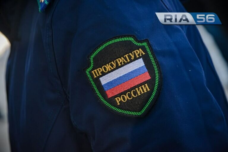    Кадастрового инженера и арендаторов подозревают в махинациях с землей в Нежинке Кристина Просвиркина
