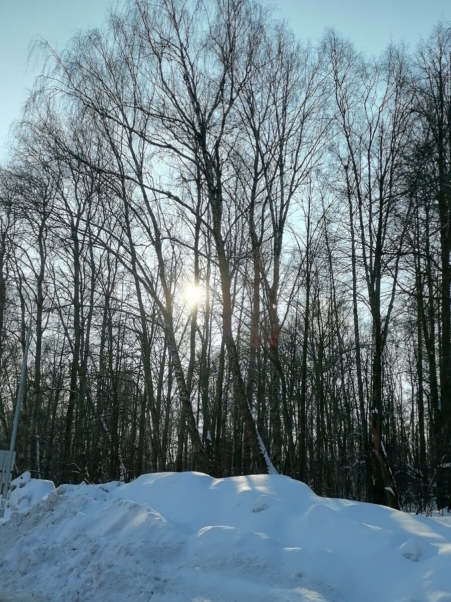 Пусть еще зимнее, но всетаки солнце радует глаз.