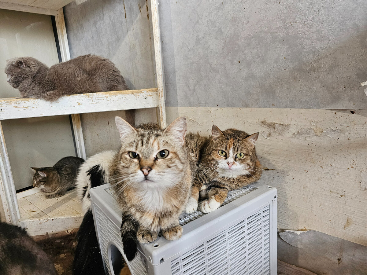 Мира и Ксюша