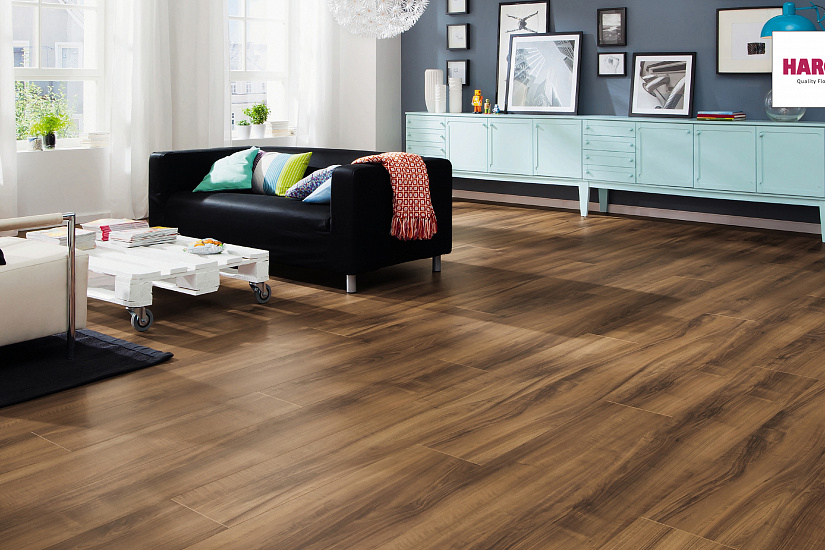 Фотография взята из источника yandex.ru