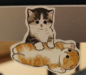                 А ведь они просто котята!