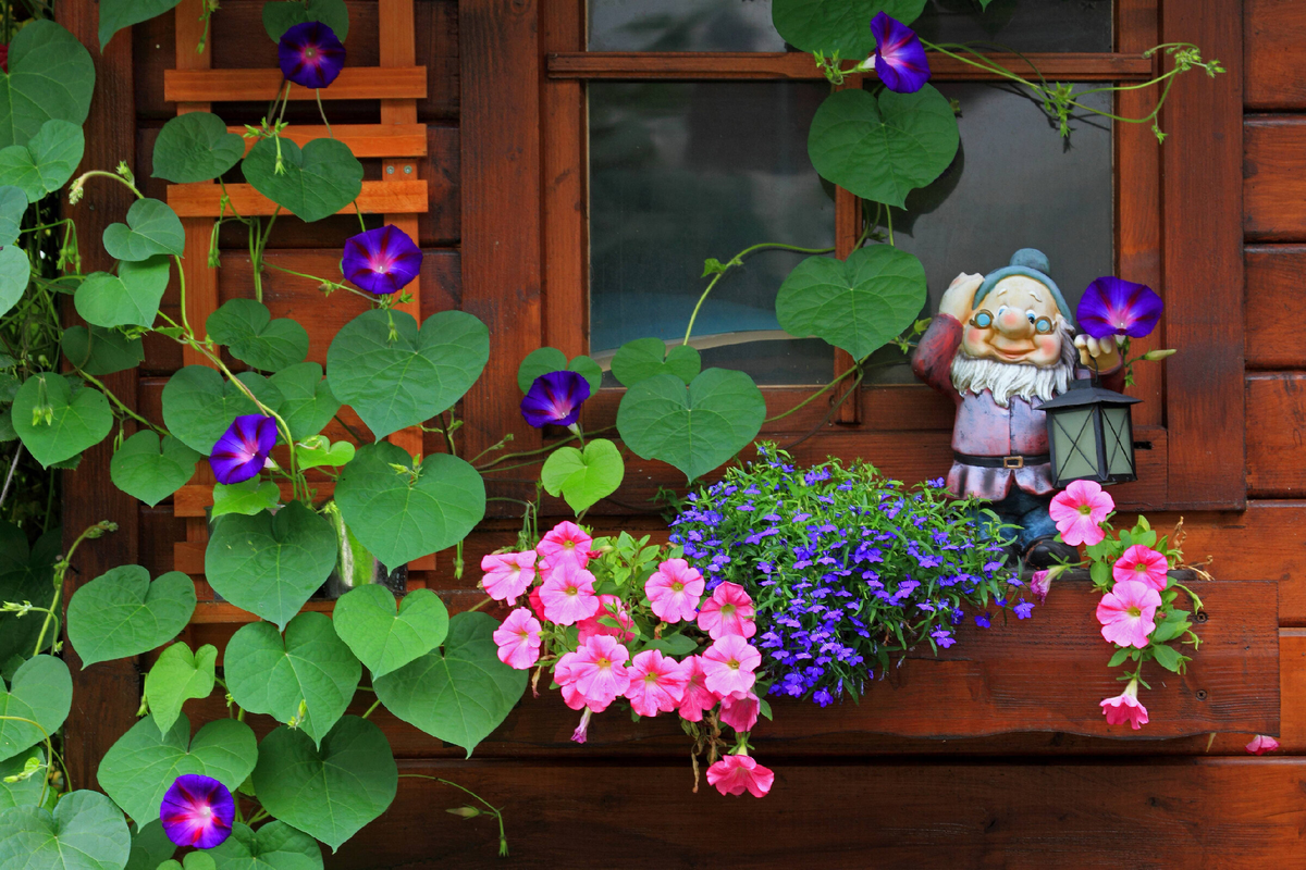 фото W. Layer/blickwinkel