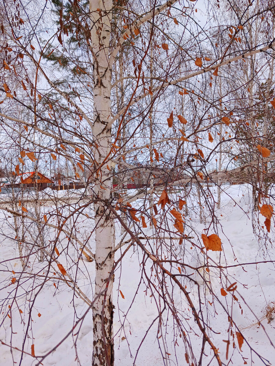 "Доброе утро, мир! Ты прекрасен!" Фото автора