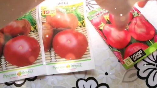 Обзор семян томатов, которые сажаю у себя на огороде.