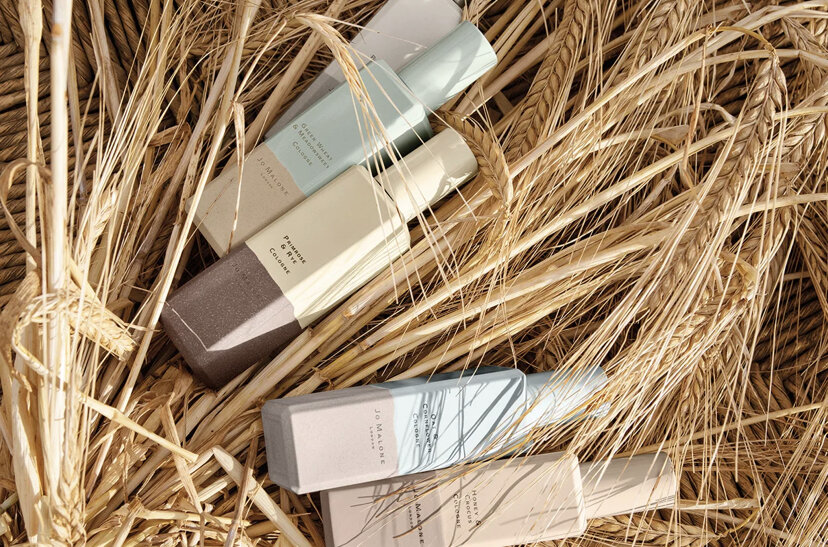 ароматическое масло пачули. пачули растение фото и описание. эфирное масло пачули. пачули запах на что похож. пачули что это как пахнет.