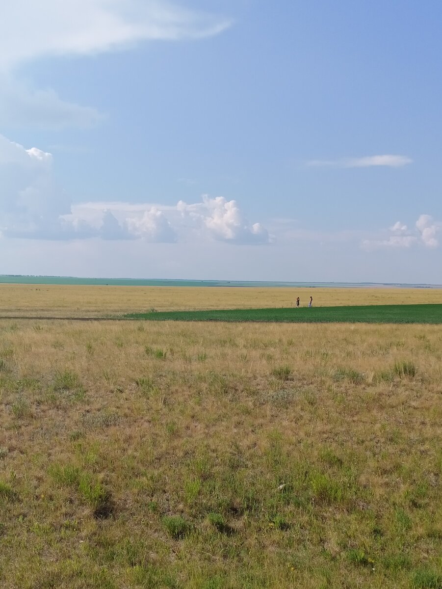 Она просто фонит, как застаревшая заноза.