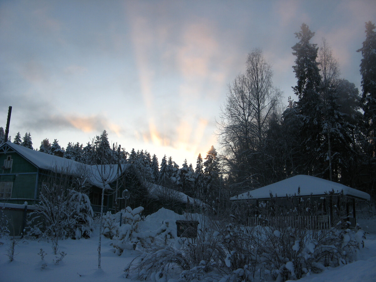 Из дворика гостевого дома в Сортавале.