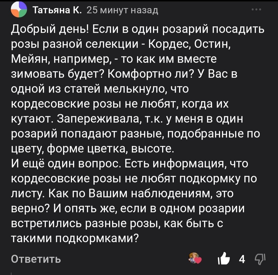 Вопросы - ответы про розы. 04.03.2024 г. Часть 180 | Цветочница Анюта 🌹 |  Дзен