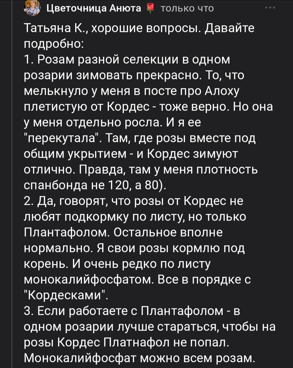 Вопросы - ответы про розы. 04.03.2024 г. Часть 180 | Цветочница Анюта 🌹 |  Дзен